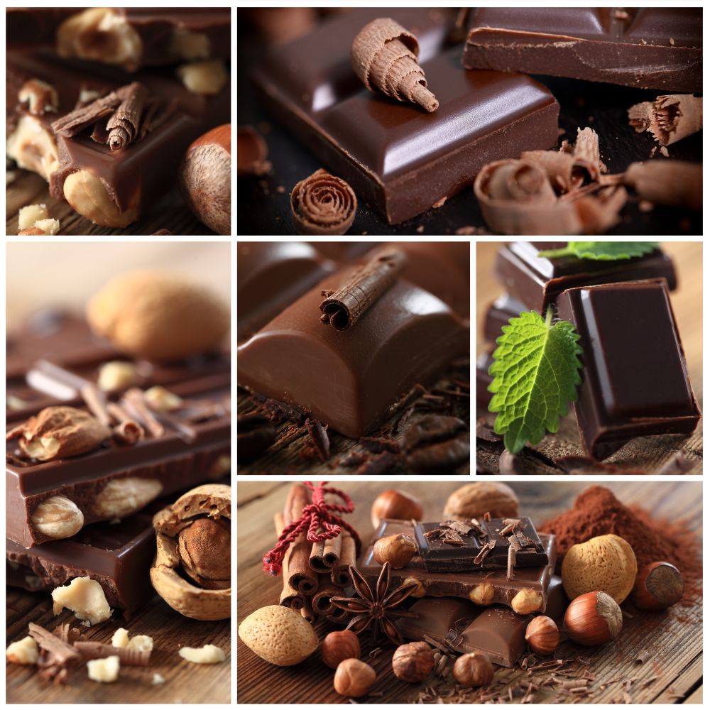 Schokolade als Leckerlie für den Malteser