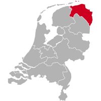 Malteser Züchter und Welpen in Groningen,